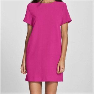 Felicity & Coco Magenta Crepe Shift Dress - NWT!